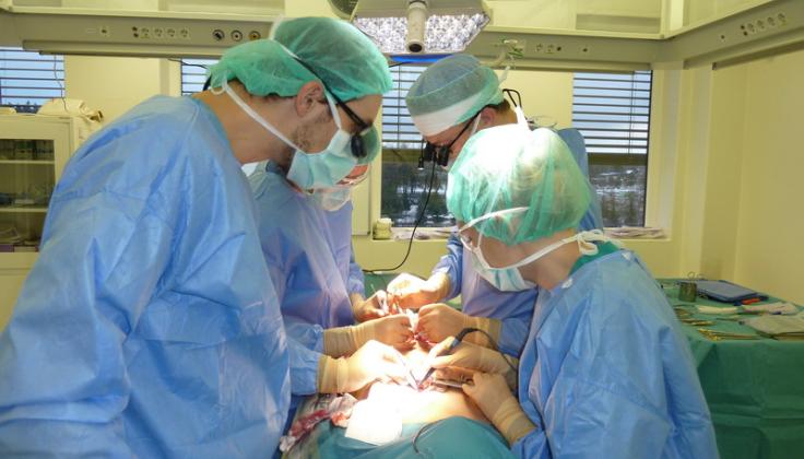 Plastinei ir rekonstrukcinei chirurgijai Lietuvoje – 40 metų