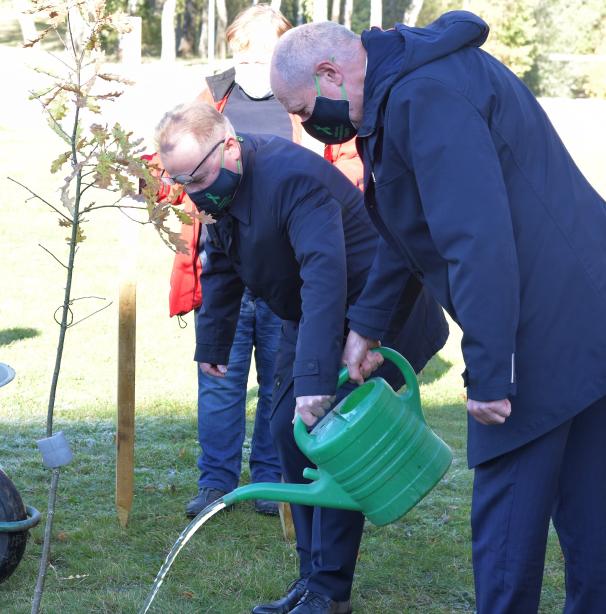 Ąžuoliuką sodina Santaros klinikų generalinis direktorius prof. F. Jankevičius ir NTB direktorius A. Bagotyrius