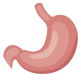 gastro-0886dbe598cc6f662df8edd64d09247d.png
