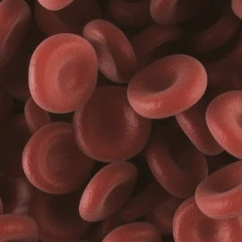 hemophilia-d23a6b389a1a00485863c83372a82f6d.jpg