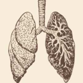 pulmonary-2116826e8d0a8f155fd47f44bac01df2.jpg