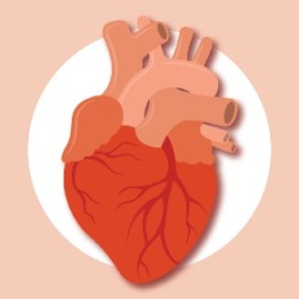 sleep-apnea-and-heart-disease-link-67d7fd4bb04d45bc4c50866c11ed4734.jpg