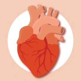sleep-apnea-and-heart-disease-link-67d7fd4bb04d45bc4c50866c11ed4734.jpg