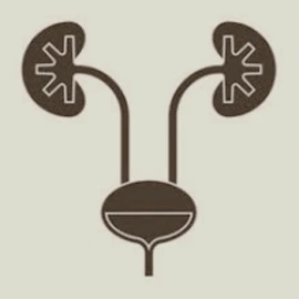 urogenital-8d6b2b7fe5458d07fc38517faf6c5121.jpg
